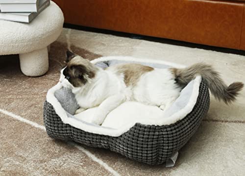 Dog Bed For Small Dogs,Cute Cat Bed For Indoor Cats,Washabel Super Soft Durable Kitten Bed And Puppy Bed, Anti-Slip & Water-Resistant Bottom,Luxury Square Grey Small Aninal Bed #TOP2