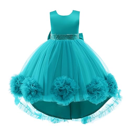 Monissy Costume Reine des Neiges Princesse Elsea Robe Maxi Vert Fleur Stéréoscopique Imprimé Dentelle Cape Floral Imprimé Diadème Perruque Gants Baguette...