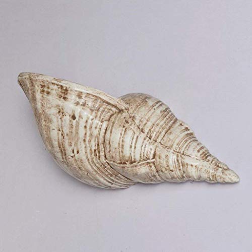 Lámpara de pared infantil conch para solucionar la oscuridad en el dormitorio
