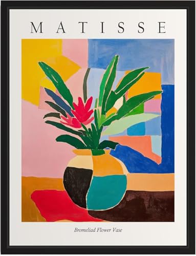 GYTRI CGFHJ Póster de Henri Matisse Henri Matisse Cuadro en lienzo《Jarrón de bromelia》por Henri Matisse Impresiones Arte de pared Cuadro abstracto para decoración del hogar 40x60cm Sin marco