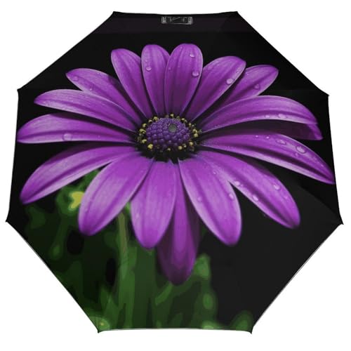 Parapluie compact et anti-UV Purple Daisy 3 haute résistance
