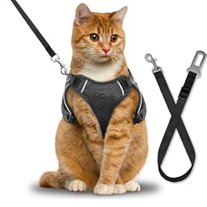 Cat Harness, Cat Car Harness and Leash for Walking, Escape Proof Soft Adjustable Vest Harnesses for Cats, Easy Control Breathable Reflective Strips Harness, Kitten Harness and Leash Set, Black, S
