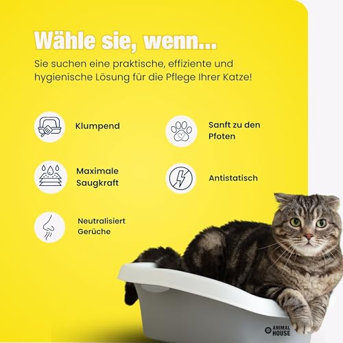 Animal House Toilet Time, 6L weißes Bentonit-Katzenstreu, antistatisch und sicher, extrem saugfähig, klumpend, geruchsbindend, 5,1 kg (weiß, 6L)