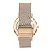 Skagen Women's Signatur Two-Hand Rose Gold Stainless Steel Mesh Band Watch (Model: SKW2784)