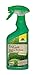 Produktbild NEUDORFF - BioKraft Vitalkur für Buxus und Ilex AF - 500 ml