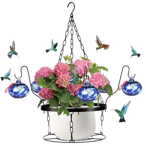 Hand Blown Glass Hummingbird Feeders for Outdoors with Hanging Planter(11 inch),Metal Hanging Plant Holder and Glass Hummingbird Feeder 2-in-1(POTS NOT Included)