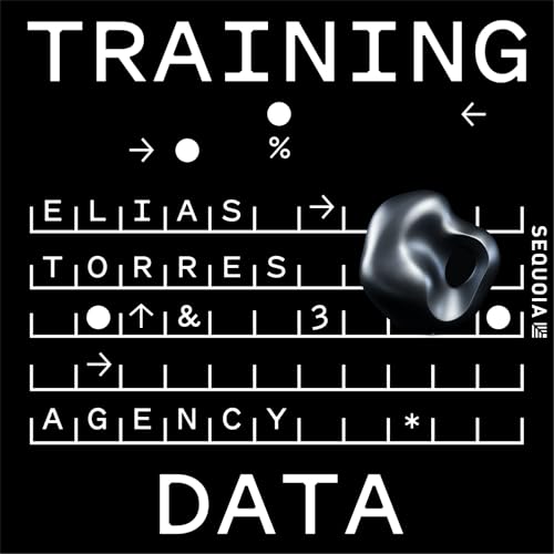 Why Businesses Are Rejecting the AI They’ve Asked For: Agency CEO Elias Torres