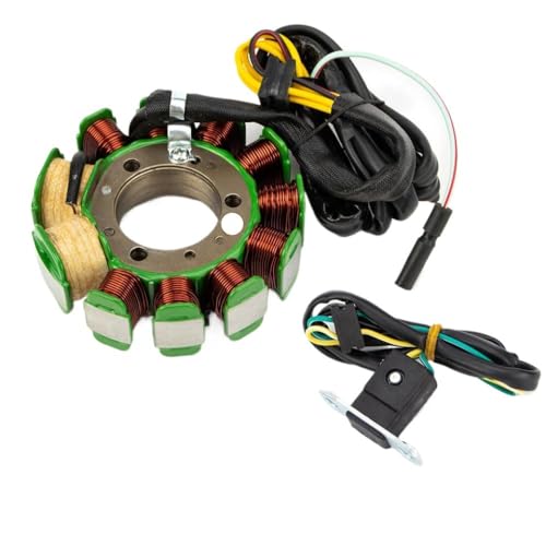 Estator CMX250 para moto Nighthawk CB250 y modelos Dos Cincuenta Policías