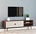 DecorNation Berel Solid Wood TV Unit Table - Two Compartment with Door and Shelf for Living Room