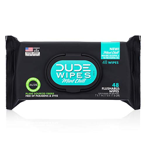 DUDE Wipes Flushable Wet Wipes Dispenser, Mint Chill, 48 Count (Pack of 3) Scented Wet Wipes with Vitamin-E, Aloe, Eucalyptus & Tea Tree Oils for at-Home Use, Septic and Sewer Safe