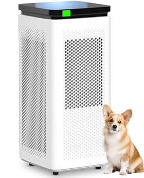 best affordable air purifier for large rooms