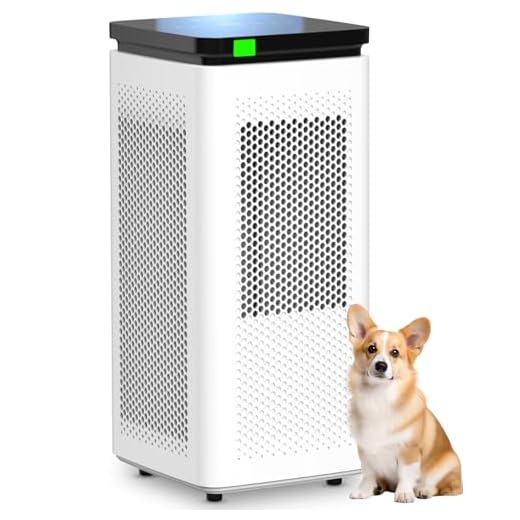 H13 True HEPA Air Purifier for Large Rooms