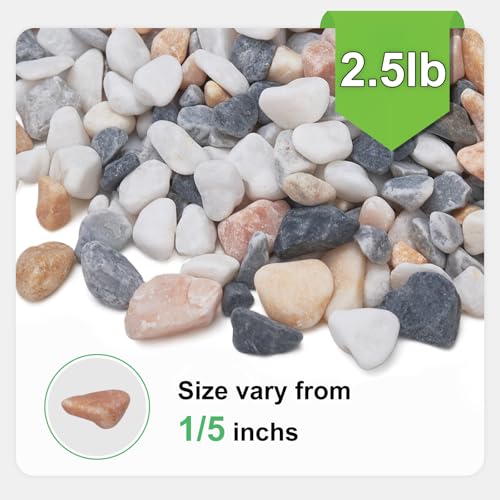 Image of 2.5 lbs Small Rocks for Plants, 1 /5 Inch Pebbles for Indoor Plants, Natural Decorative Pea Gravel for Aquarium, Fish Tank, Terrarium, Succulents, Bamboo Plants, Vases, Cactus, Crafts