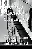 Crescita Aziendale Strategica: Piccole migliori idee imprenditoriali per i principiant
