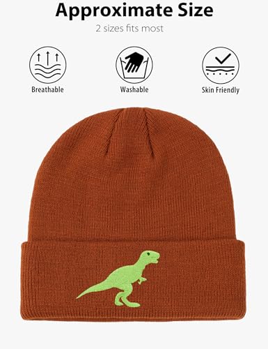 BEARAE Kids Dinosaur Beanie, Unisex Slouchy Baby Hat for Boys & Girls, Cute and Comfortable Winter Headwear2