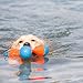 Chuckit! Amphibious Tri-Bumper Fetch Dog Toy, Medium (8.2 Inch),Black