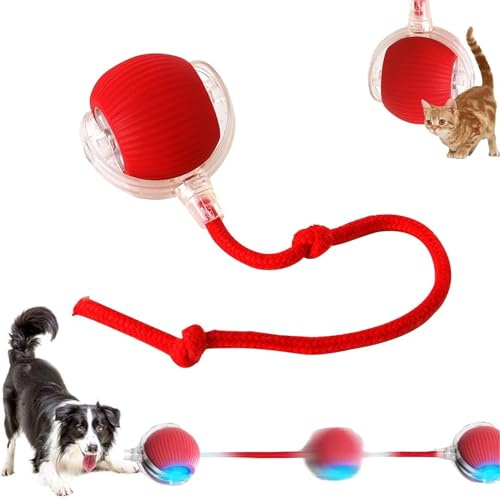 Image of Chewie Viral Rolling Ball,Interactive Rolling Dog Ball Toy,Interactive Cat Ball Toy,360 Smart Automatic Rolling Pet Ball,Dancing Ball for Dogs,Shaky Ball for Dogs and Cats Breed