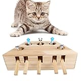 【Attraktiv】 Es ist super lustig und attraktiv, dieses interaktive Spielzeug für Katzen kann Bewegung stimulieren und verhindert, dass Haustiere zu langweilig werden. Lassen Sie Ihre Katze trainieren und gesund halten.