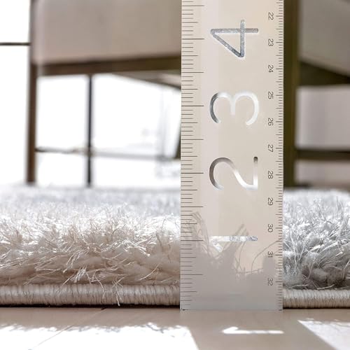 Image of Ultra-Soft Shaggy Carpet (4 X 6 FEET, Grey Pink White) Fluffy, Cozy & Durable Area Rug for Living Room, Bedroom & More ? Premium Modern Design