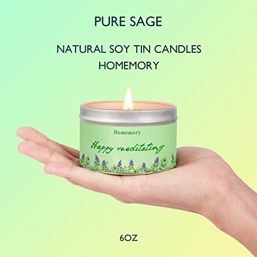 Candles For Home Scented, Sage Candles For Cleansing House, Natural Non-Toxic Soy Candles With Essential Oils, Aromatherapy Candle, Tin Candle For Meditation, Purification And Chakra Healing, 6Oz #TOP1