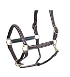 SIE EQUESTRIAN Leather Horse Halter with Brass Hardware, Pink and Black (Brown with Green Padding, Full)