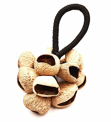 Maracas en Semilla de Pangi Coctelera Sonajero Artesanal Natural