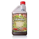 Multi-Mite Liquid Seaweed Organic Cold Pressed Concentrate - 100% Natural - Plant Feed Fertiliser Trees Lawn Veg & House Plants Root or Foliar Feed (1 LITRE)