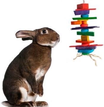 Medium Crazy Color Rabbit Chew Toy