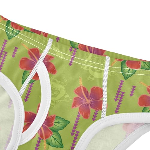 Boys' Exclusive Briefs Toddler Underwear 95% Combed Cotton Boxerbriefs 2T Hibiscus and Leaf Pattern 134