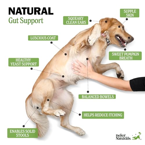 Deley Naturals Probiotics for Dogs - Dog Probiotics Chewable with 6 Digestive Enzymes & 4 Billion CFUs - Probiotic Chews for Dogs Gut Health Diarrhea & Digestion - Digestive Balance Dog Supplements - Image 4