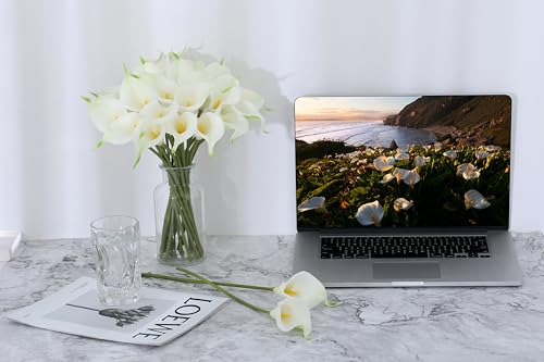 Image of SITUMEIZI 24 Pcs Fake Flowers White Artificial Calla Lily