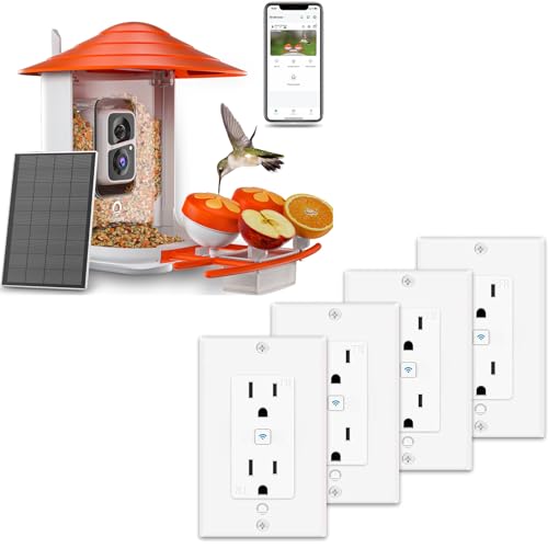 iLintek Smart Outlet in-Wall Bird Feeder with Camera