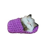 BESTonZON Gato durmiendo en Zapatilla Lindas Zapatillas Regalos para niños cotillones morat Juguetes Mini Gatito en Juguete de Zapatos maullidos Sonidos decoración Mano Juguete bebé Decorar