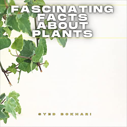 Don’t Miss A Full Audiobook That Is Simply Inspiring.