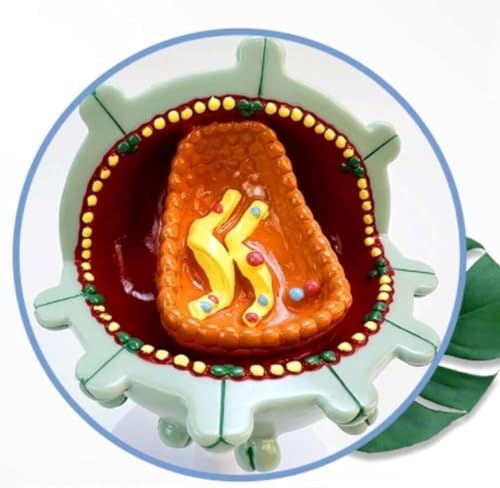LFMDZC Virus Cell Model, Aids Model,Human Model 3D Medical Demonstration Human Structure Cytopathic Amplification for Teaching PVC, Detachable - 3