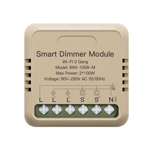 Mini Dimmer WIFI 2,4G, Triac Dimmer, Taglio di Fase Con Pulsante, 2 Canali Per 2 Punti Luci, 2X100W, APP TUYA Smart Life, 40x40x18mm, Usa 2 Push Switch Come Deviatore