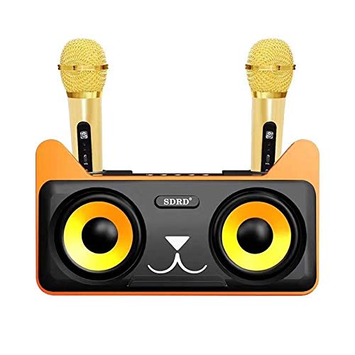 Microphone LLD SD-305 double microphone portable et haut-parleur sans fil
