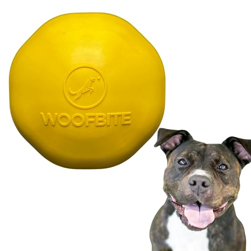 10 Unstoppable Indestructible Dog Balls You Need to Get Your Hands on