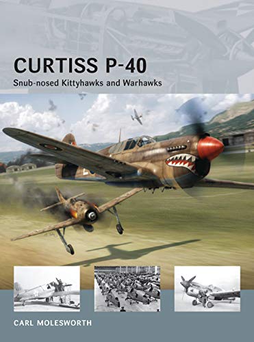 Curtiss P-40: Snub-nosed Kittyhawks and Warhawks (Air Vanguard)