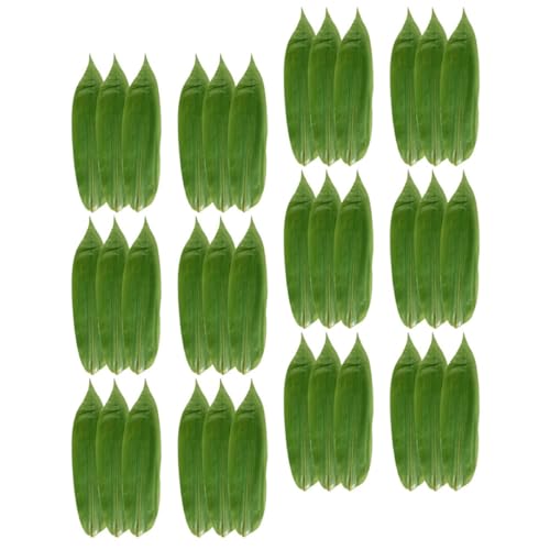 SECFOU 100 |t^ ^i[t hgv[gpI[ig a؏ ܂ɂϐŎRȗΐF̔H쉉o