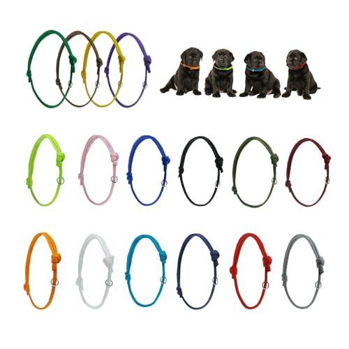 Escuela de Trucos para Perros: Aprende Jugando 4 16 collares para cachorros, collares de identificación para cacho...