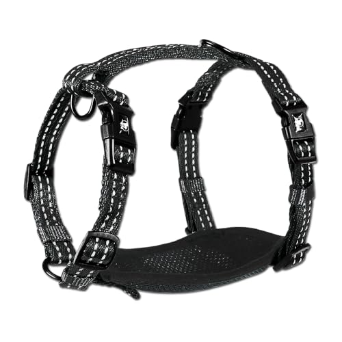 alcott Flexi Essentials Adventure Pet Harness, Small, Black Nylon with Reflective Accents,HNS ES SM BK