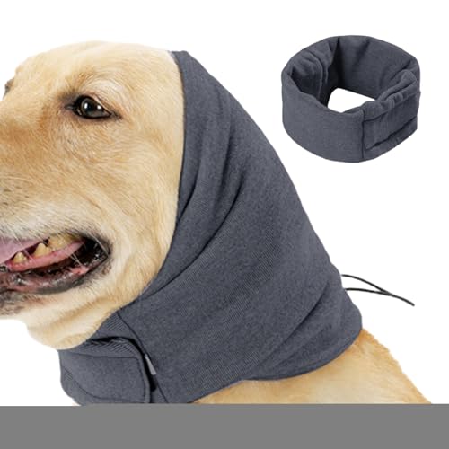 pJo[Abv - 𗎂t[h,h~AXgXpXJ[tACO[~Opybgt[h