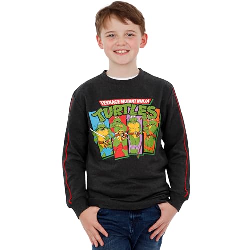 Teenage Mutant Ninja Turtles Sweatshirt | Boys Pullover Sweater | Ninja Turtle Sweater For Boys2