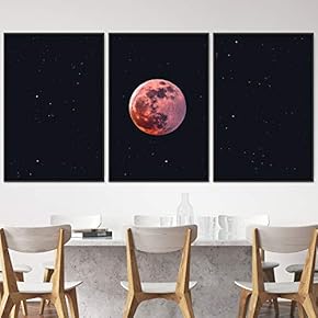 signwin 3 Piece Framed Canvas Wall Art Full...