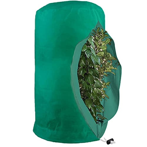 NSXIN Protection hivernale pour plantes, sac de plantes en pot,Protection contre le gel,Avec fermeture éclair et cordon de serrage,Résistant à la déchirure (120x180 cm, vert/lot de 1 Cover