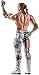WWE DOLPH ZIGGLER CORE FIGURE