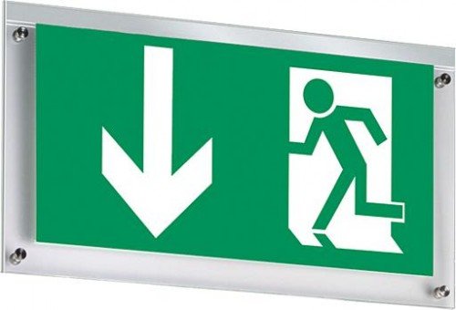 Preisvergleich Produktbild ESYLUX Pikto.-Scheibe zweis.unten SLC SYMBOL2-SIDEDOWN