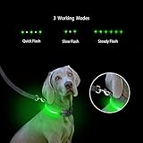 Hunde Halsband, LaRoo Blinkender LED Hunde Halsband Sicherheits Hundehalsband - 3