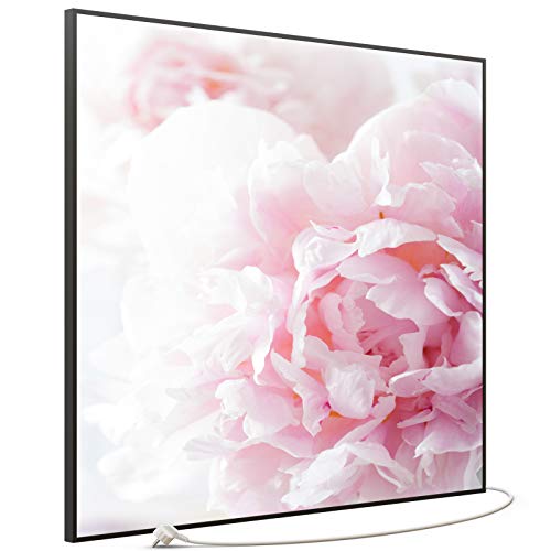 STEINFELD Bild Infrarotheizung mit Thermostat | Made in Germany | viele Motive 350- 1200 Watt Rahmen schwarz (1200 Watt, 012 Rosa Pfingstrose)